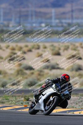 media/Apr-14-2024-SoCal Trackdays (Sun) [[70f97d3d4f]]/1-Turn 5 Tree of Life (920am)/